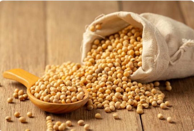 Is Soy Products Gluten Free Is Soy Products Gluten Free