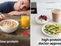 High-Protein Breakfast Meals Backed by Science: What to Eat and Why High-Protein Breakfast Meals Backed by Science
